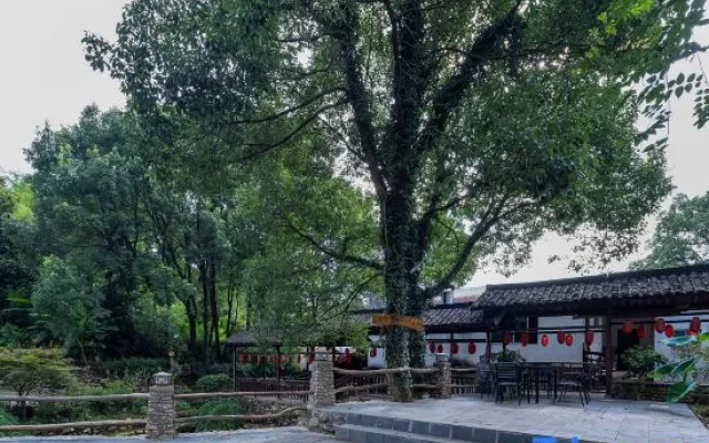 Floral Hotel·Laigui road Wang hotel (Donglin Temple Lushan cableway store) – Outside – Jiujiang