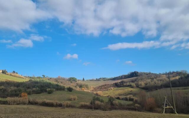 Azienda Agricola Cortina e Mandorli