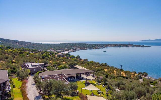 Assos Dionysos Hotel Special Class - Adults Only