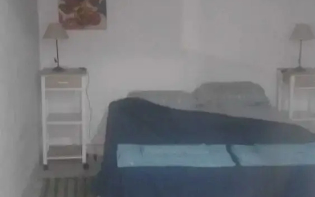 Zona Peatonal Central Apartment Mendoza City