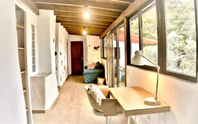 Vega Rural Garachico