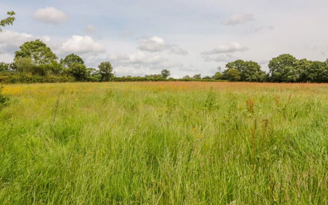 Rodley Manor Cottage, Bloemuns