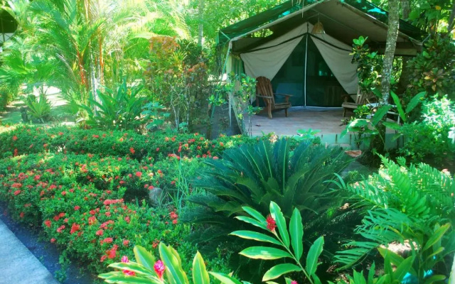 Rafiki Beach Camp