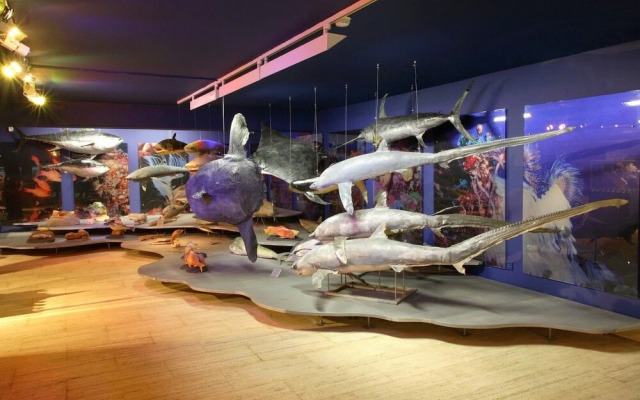 Napa City Apartments