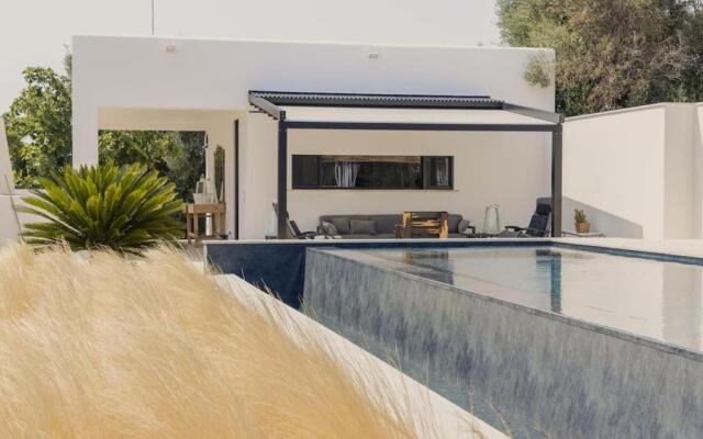 New Villa Aspri with Infinity Pool 1km from the sea