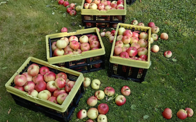 Дом в деревне Чернокуново