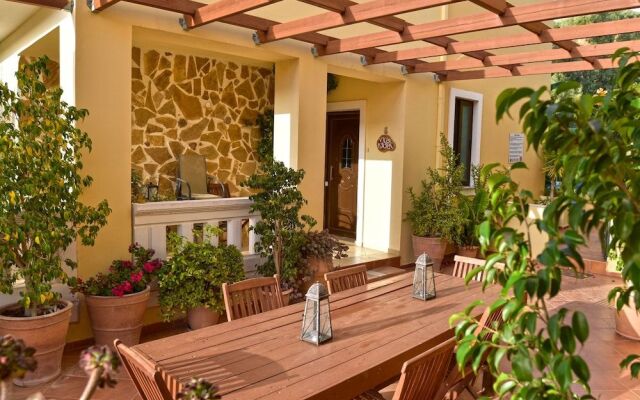 Olive Farm