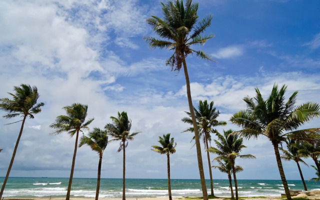 Stork Phu Quoc Homestay - Hostel