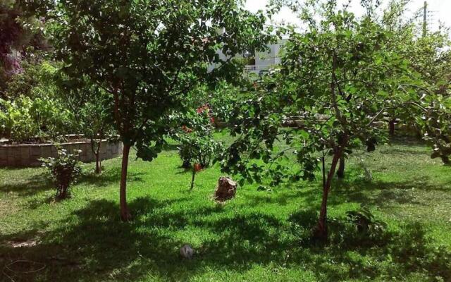 Sunny garden studio