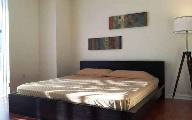 Luxury Apartments at 50 Biscayne