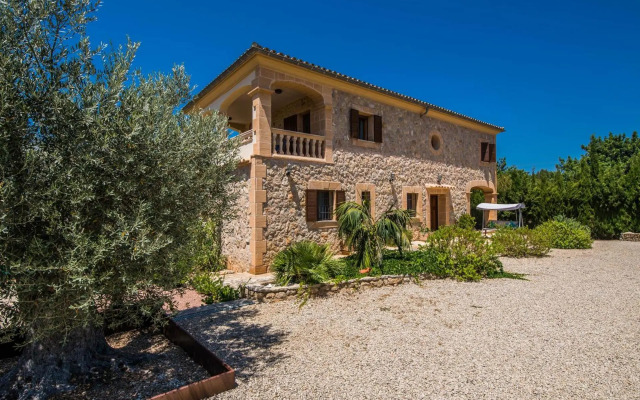 Puig d'en Guardiola ID:74768