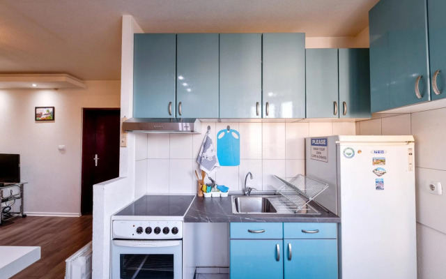 Central Monument Apartment Bojkovic