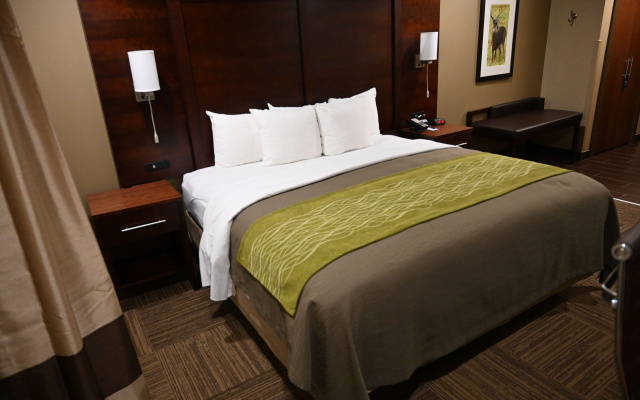 Comfort Inn Pulaski
