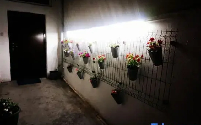 Mia apartment