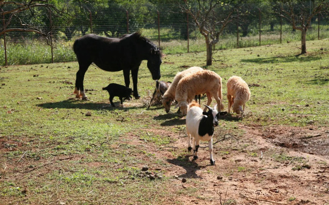 Case di Latomie Agriturismo - Turismo Rurale