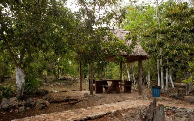 Casa Cenote Popol Vuh