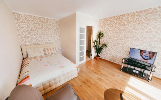 VIP-flat in the center of Vishenka