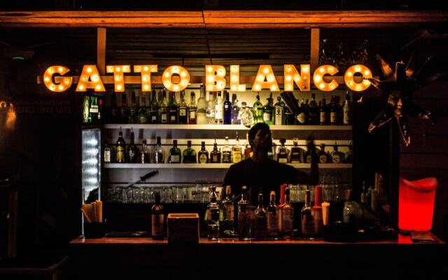 Gatto Blanco Party Hotel