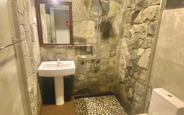 Villa Shungite