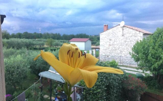 Appartment Hacienda Monica