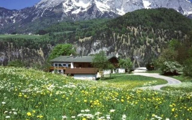Bauernhof Steinlehen