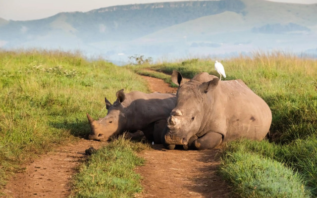 Tala Game Reserve