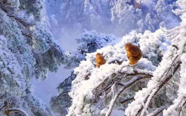 Jiuhua Mountain Remote Mountain Simple Home Stay