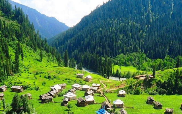Green Residency