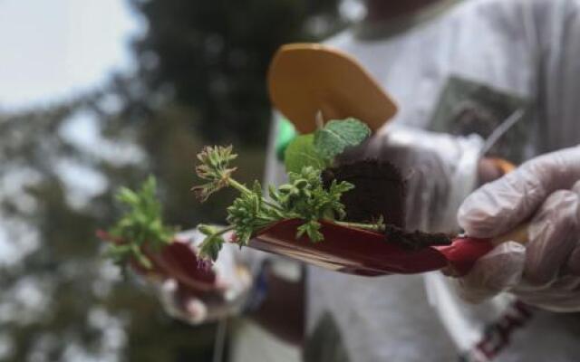 High Hub Hostel - Eco Gite Des Tamarins