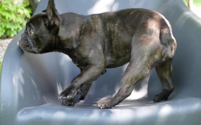 B&B Villa dei Calchi - Suite Room di Charme