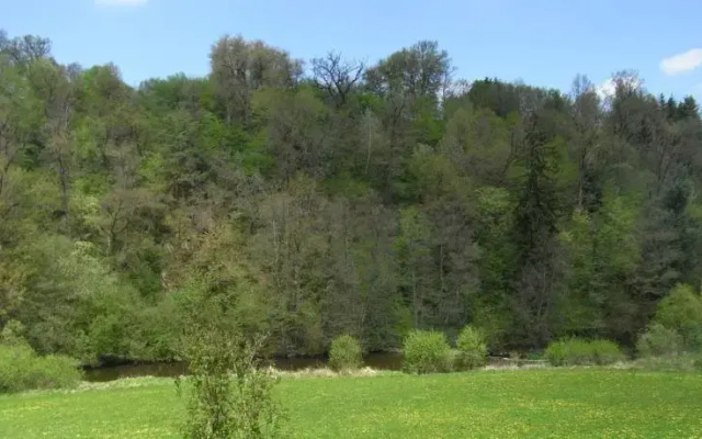 Zwettltalblick