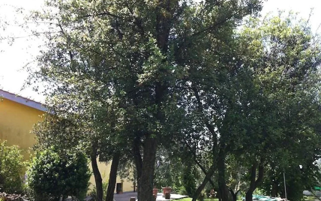 Al Casale Giallo B&B