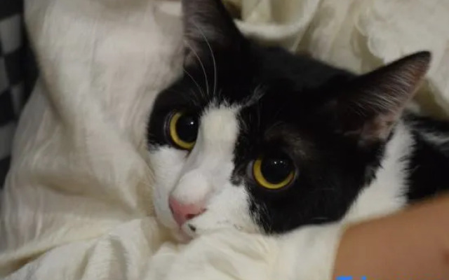 Xishuangbanna Jianye Holiday (Gasa Airport Branch)