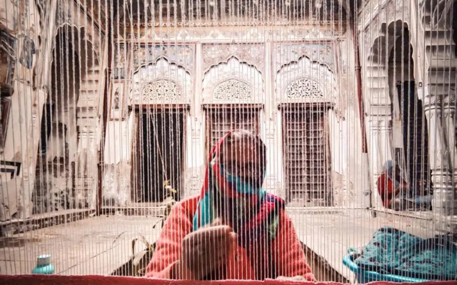 Shruti's Vedaaranya Haveli at Ramgarh Shekhawati