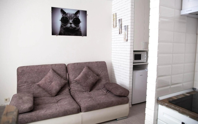 Rent of Apartments in Kharkiv