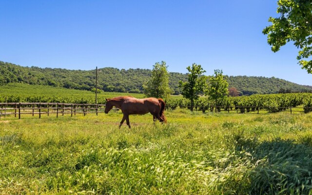 Scenic Apartment in Rome near Lago di Martignano