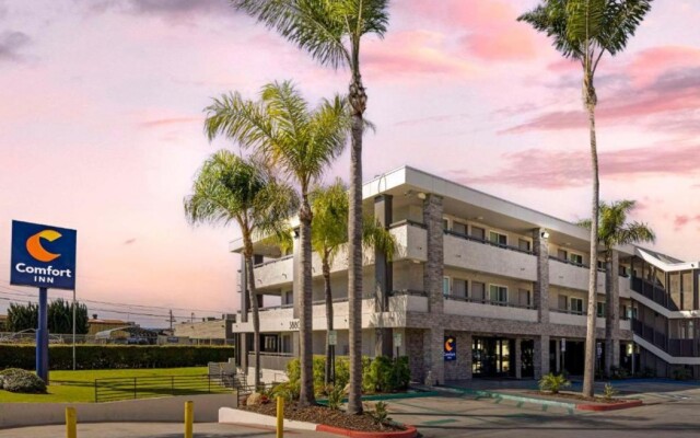 Comfort Inn Darien - North Brunswick