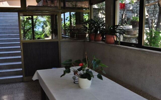 Guesthouse Palm Street