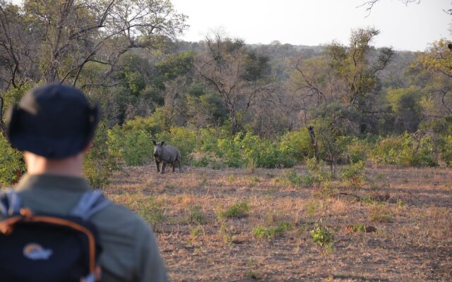 Plains Camp @ Rhino Walking Safaris