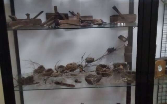 Ostello Angolo Verde