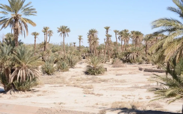 Kasbah Panorama Oasis