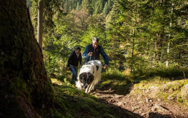 Holiday Inn Villingen - Schwenningen by IHG