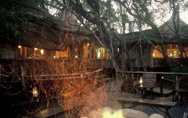 Phantom Forest Eco Reserve
