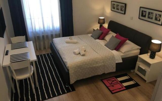 Downtown Luxury Apartment