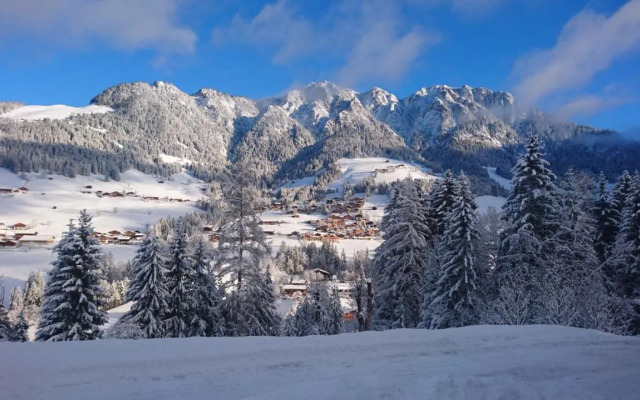 Schneiderhäusl-Larch