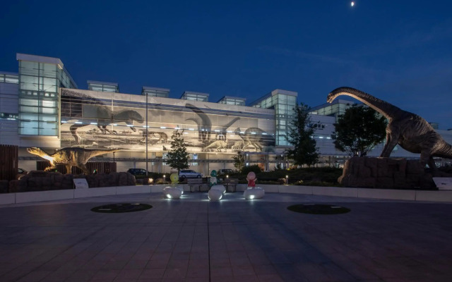 Dormy Inn Fukui Natural Hot Springs