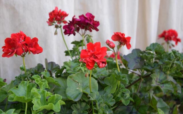 Sineva Del Sol Apartments