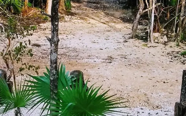 Tooj Cheel Lodge Tulum