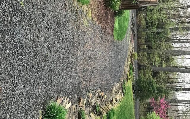 Some Kind of Wonderful