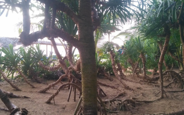 Ravana Beach Cabanas